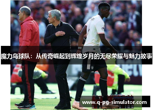 魔力鸟球队：从传奇崛起到辉煌岁月的无尽荣耀与魅力故事